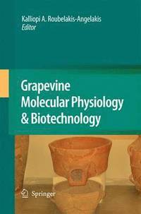 bokomslag Grapevine Molecular Physiology & Biotechnology