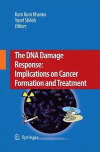 bokomslag The DNA Damage Response: Implications on Cancer Formation and Treatment