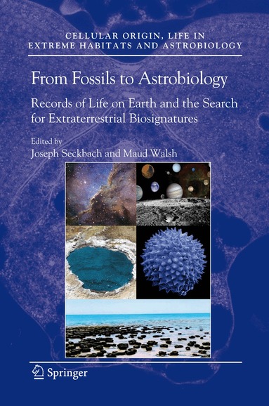 Joseph Seckbach, Maud Walsh - From Fossils to Astrobiology, Häftad
