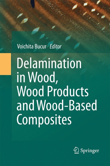 bokomslag Delamination in Wood, Wood Products and Wood-Based Composites