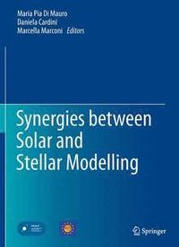bokomslag Synergies between Solar and Stellar Modelling