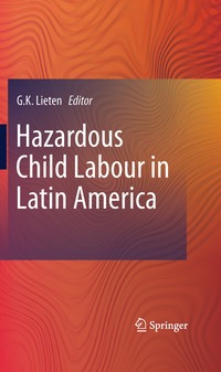 bokomslag Hazardous Child Labour in Latin America