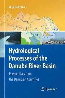 bokomslag Hydrological Processes of the Danube River Basin