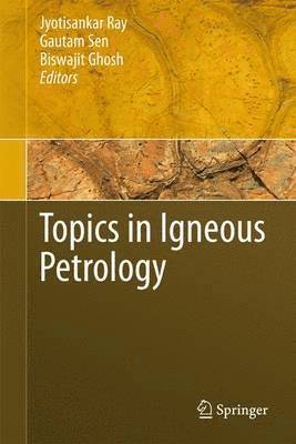 bokomslag Topics in Igneous Petrology