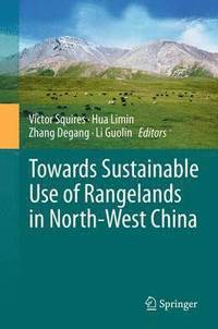 bokomslag Towards Sustainable Use of Rangelands in North-West China