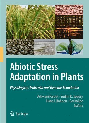 bokomslag Abiotic Stress Adaptation in Plants