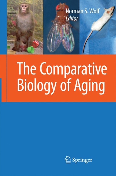 bokomslag Comparative Biology of Aging