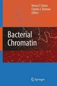 bokomslag Bacterial Chromatin