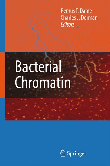 bokomslag Bacterial Chromatin