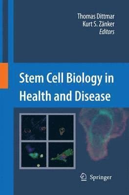Thomas Dittmar, Kurt S. Zänker - Stem Cell Biology in Health and Disease, Häftad