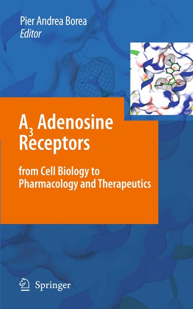 Pier Andrea Borea - A3 Adenosine Receptors from Cell Biology to Pharmacology and Therapeutics, Häftad
