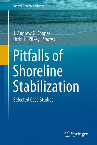 bokomslag Pitfalls of Shoreline Stabilization