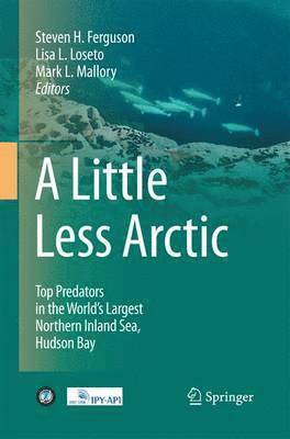bokomslag A Little Less Arctic