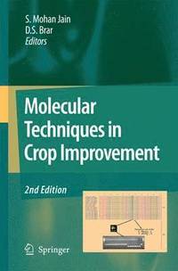 bokomslag Molecular Techniques in Crop Improvement