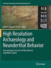 bokomslag High Resolution Archaeology and Neanderthal Behavior