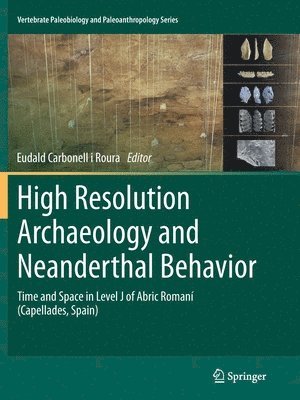 High Resolution Archaeology and Neanderthal Behavior 1