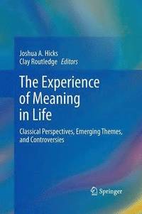 bokomslag The Experience of Meaning in Life