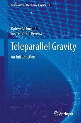 Ruben Aldrovandi, Jose G Pereira, Jose G. Pereira - Teleparallel Gravity, Häftad