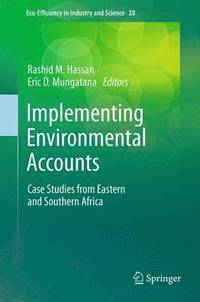 bokomslag Implementing Environmental Accounts