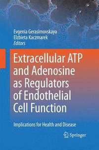 bokomslag Extracellular ATP and adenosine as regulators of endothelial cell function