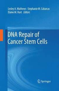 bokomslag DNA Repair of Cancer Stem Cells