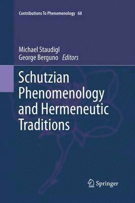 Michael Staudigl, George Berguno - Schutzian Phenomenology and Hermeneutic Traditions, Häftad