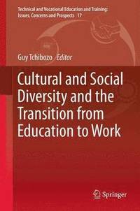 bokomslag Cultural and Social Diversity and the Transition from Education to Work