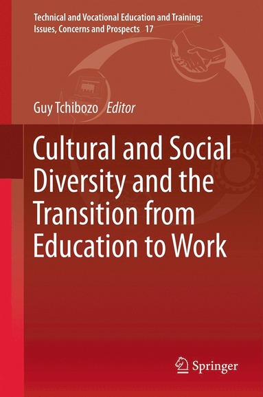 bokomslag Cultural and Social Diversity and the Transition from Education to Work