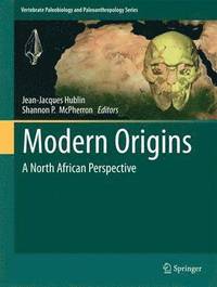 bokomslag Modern Origins