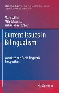 bokomslag Current Issues in Bilingualism