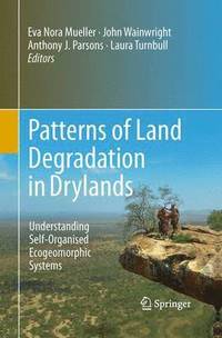 bokomslag Patterns of Land Degradation in Drylands
