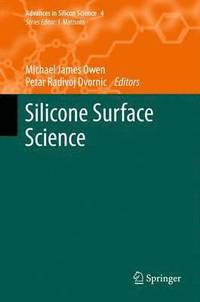 bokomslag Silicone Surface Science