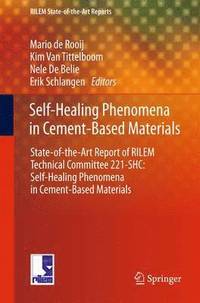 bokomslag Self-Healing Phenomena in Cement-Based Materials