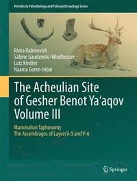 bokomslag The Acheulian Site of Gesher Benot  Yaaqov  Volume III