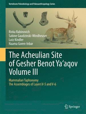 The Acheulian Site of Gesher Benot  Yaaqov  Volume III 1