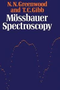 bokomslag Mssbauer Spectroscopy