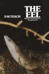 bokomslag The Eel