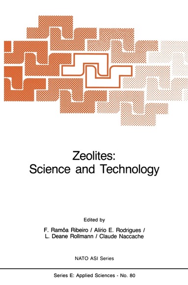 Fernando Ramôa Ribeiro - Zeolites: Science and Technology, Häftad