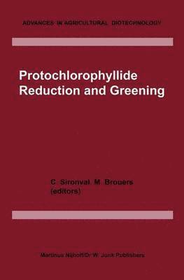 bokomslag Protochlorophyllide Reduction and Greening