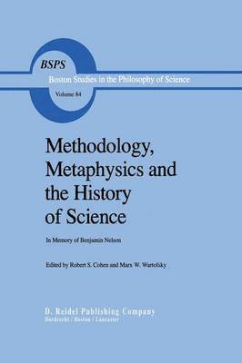 bokomslag Methodology, Metaphysics and the History of Science