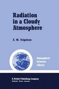 bokomslag Radiation in a Cloudy Atmosphere