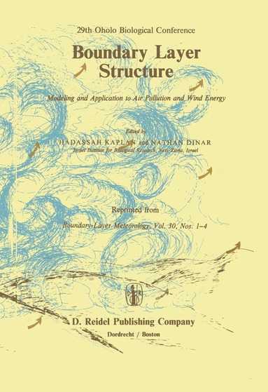 bokomslag Boundary Layer Structure