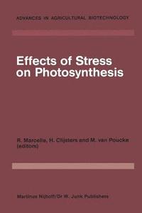 bokomslag Effects of Stress on Photosynthesis