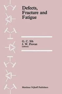 bokomslag Defects, Fracture and Fatigue