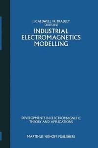 bokomslag Industrial Electromagnetics Modelling