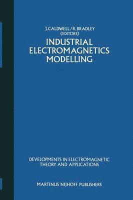 bokomslag Industrial Electromagnetics Modelling