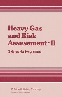bokomslag Heavy Gas and Risk Assessment - II