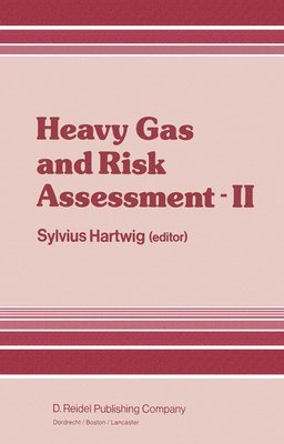 bokomslag Heavy Gas and Risk Assessment  II