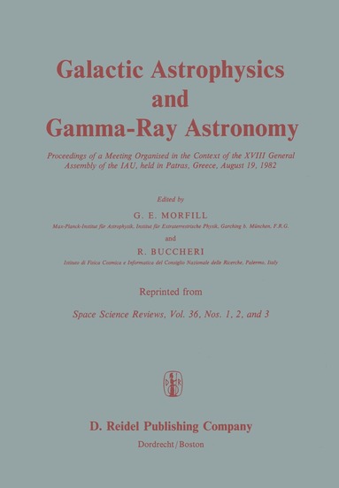 G.E. Morfill, R. Buccheri - Galactic Astrophysics and Gamma-Ray Astronomy, Häftad