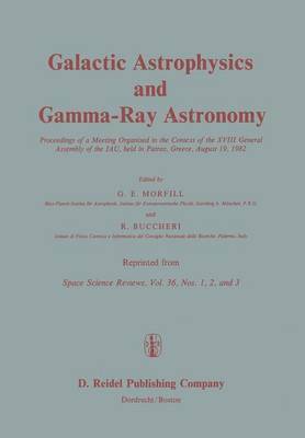 G.E. Morfill, R. Buccheri, G. E. Morfill - Galactic Astrophysics and Gamma-Ray Astronomy, Häftad